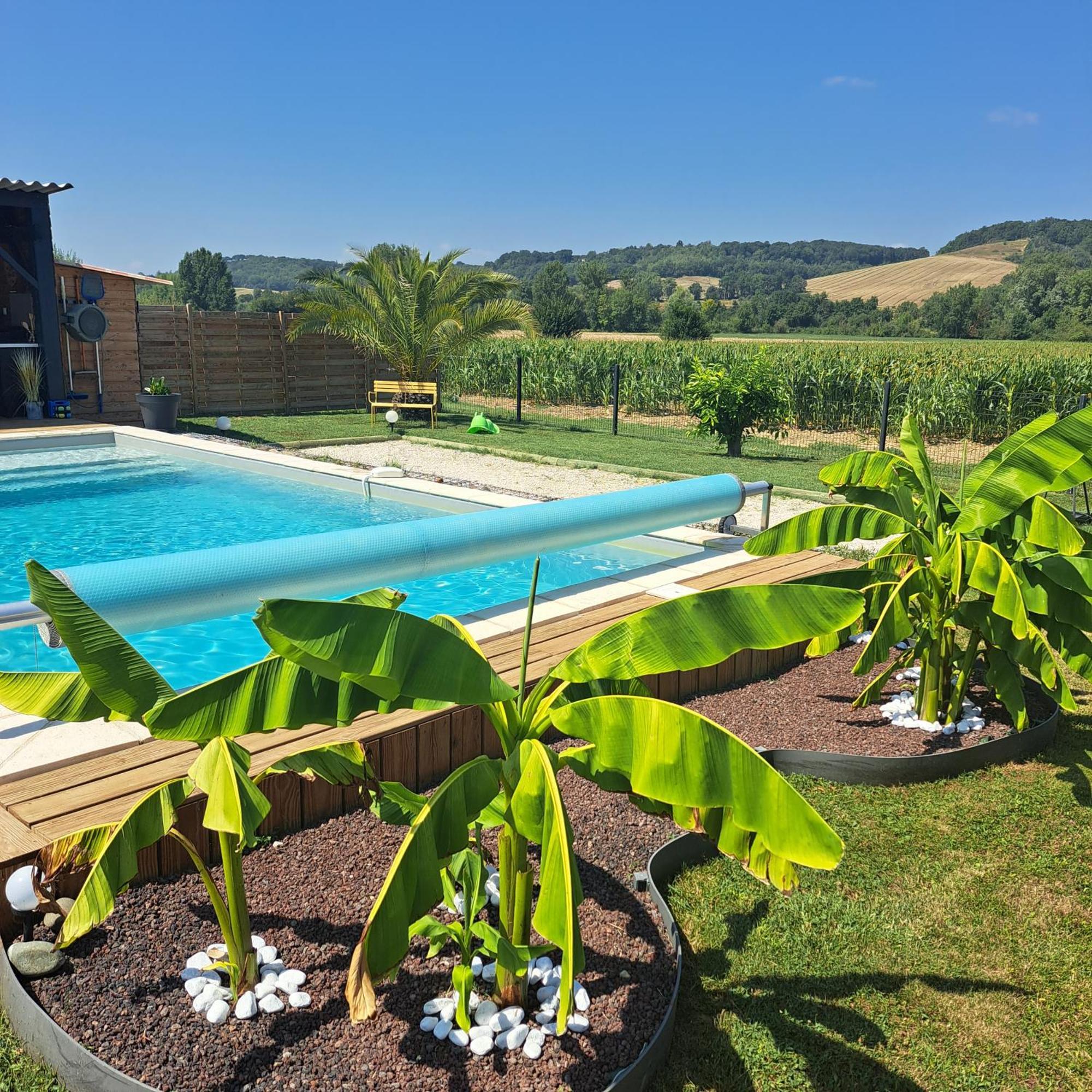 Le Domaine Vesque Villa Saint-Pierre-de-Clairac Buitenkant foto